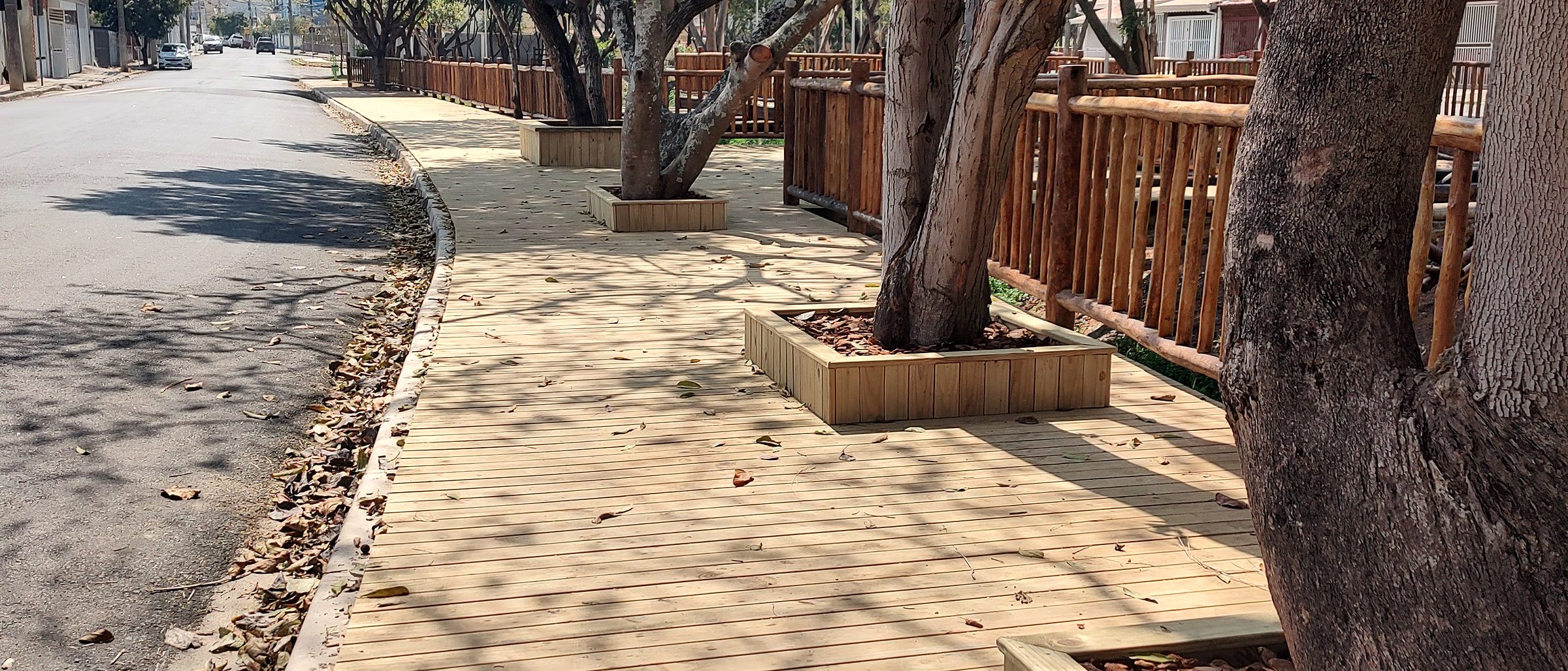 Deck de tábuas de madeira clara recém-instalado contornando o tronco de uma árvore grande, com folhas secas sobre as réguas e estrutura rústica de madeira ao fundo