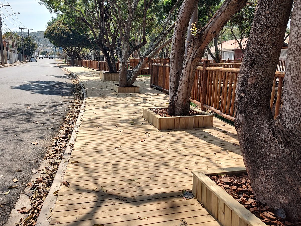 Deck de tábuas de madeira clara recém-instalado contornando o tronco de uma árvore grande, com folhas secas sobre as réguas e estrutura rústica de madeira ao fundo