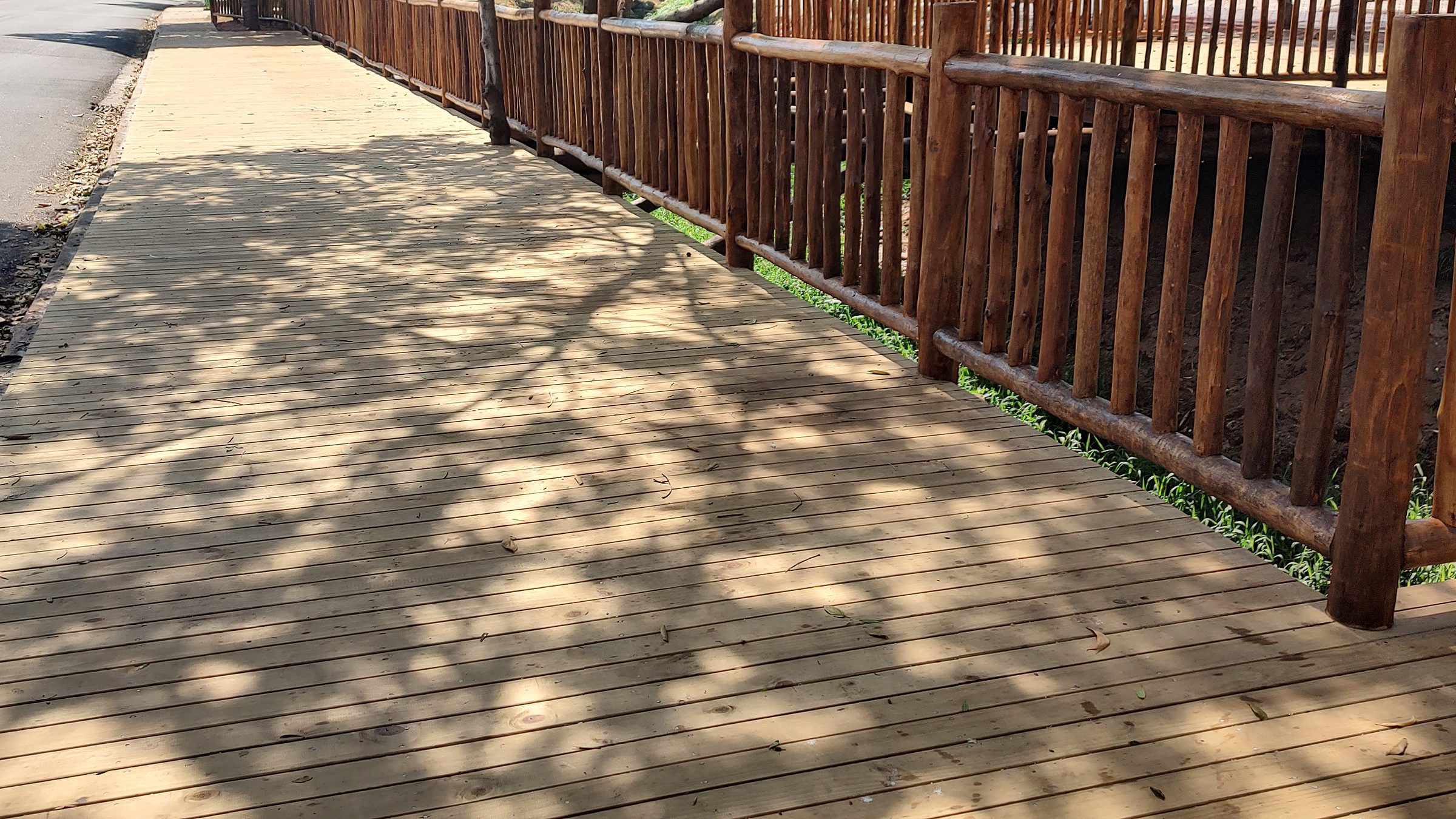 Deck de madeira tratada com guarda-corpo ao redor de uma árvore